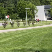 Realizácia a údržba verejnej zelene pri Univerzite v Žiline
