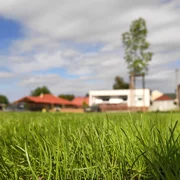 Realizácia okrasnej záhrady a trávnika